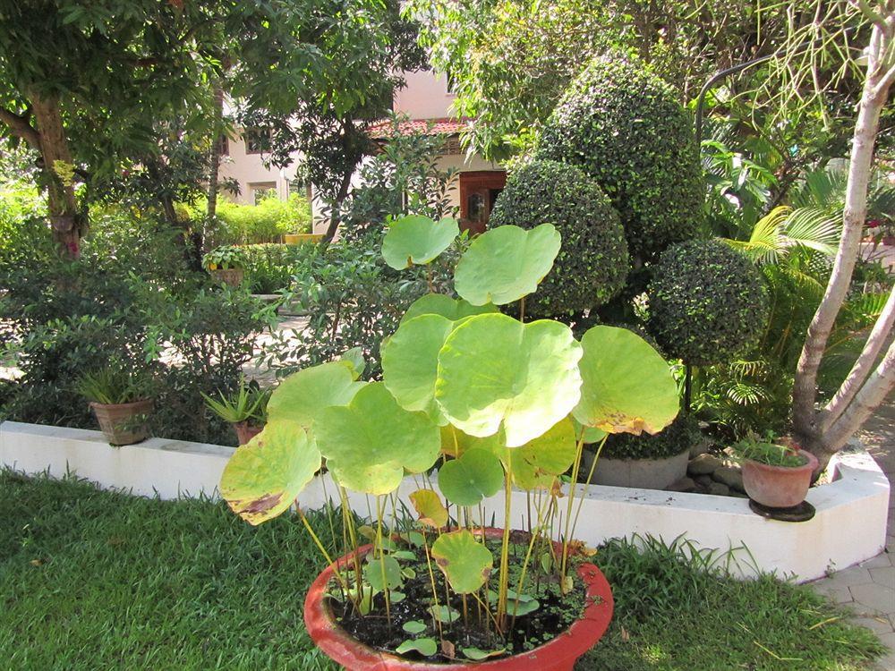 Les Bambous Village Siem Reap Exterior photo